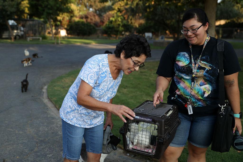 Lynea checks on a kitten in a carry basket in the gardens of the property on Aug. 25, 2017. (©Getty Images | <a href="https://www.gettyimages.com.au/detail/news-photo/the-cat-house-on-the-kings-founder-lynea-lattanzio-checks-news-photo/839005720">Justin Sullivan</a>)