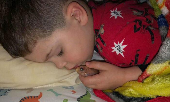 Mom Finds 4-Year-Old Fast Asleep With Goldfish in Hand, He ‘Just Wanted to Pet It’