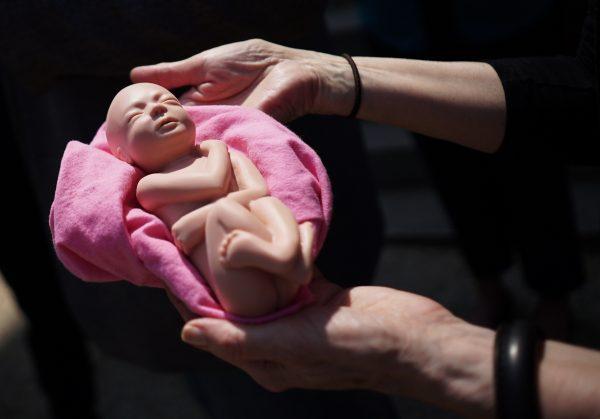 A pro-life activist holds a model of an unborn baby in a file photo. (Mandel Ngan/AFP/Getty Images)