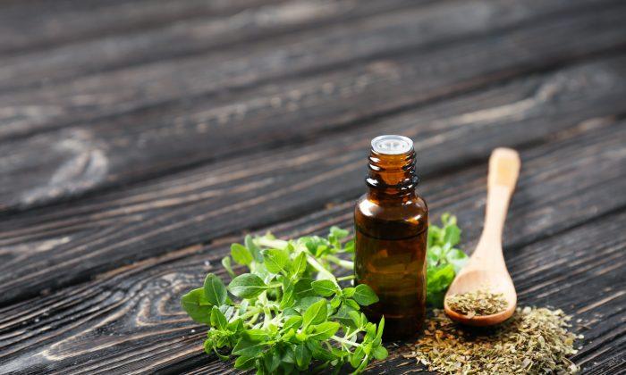 How to Use Oregano Oil for Colds and Flu