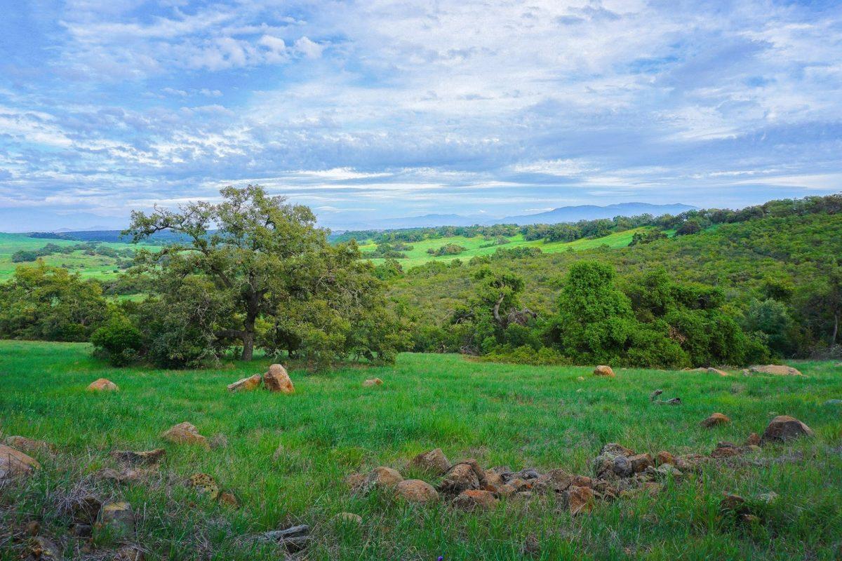 The Santa Rosa Plateau Ecological Reserve. (Courtesy of Visit Temecula Valley)