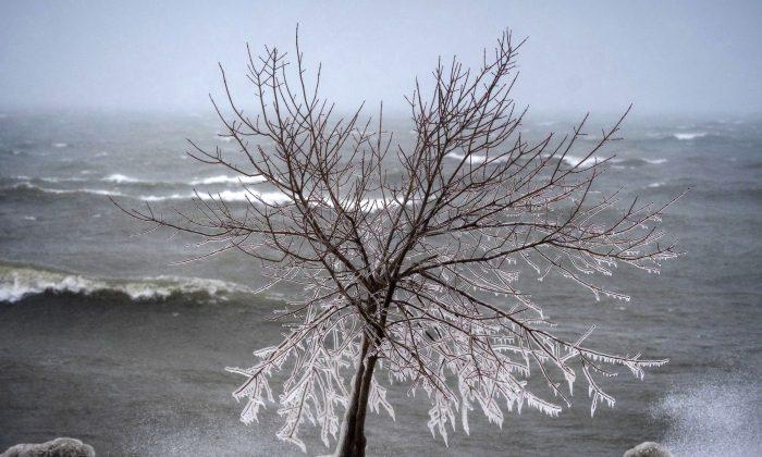 Average Fall, Cold Winter Ahead, Weather Network Predicts