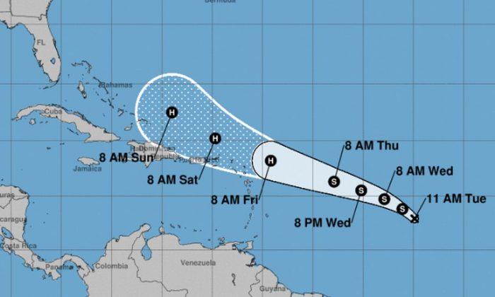 Tropical Depression 10 Expected to Become Hurricane This Week, Says Agency