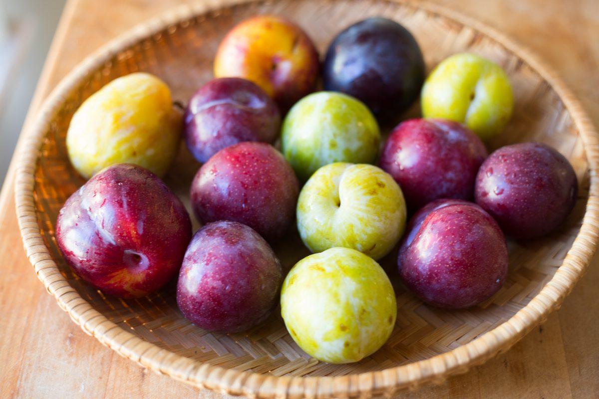 Take advantage of gorgeous late-summer, early-fall plums before they're gone. (Caroline Chambers)