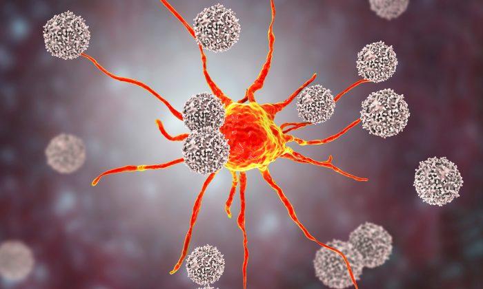 Scientists Find New Method That Causes Cancer Cells to Self-destruct
