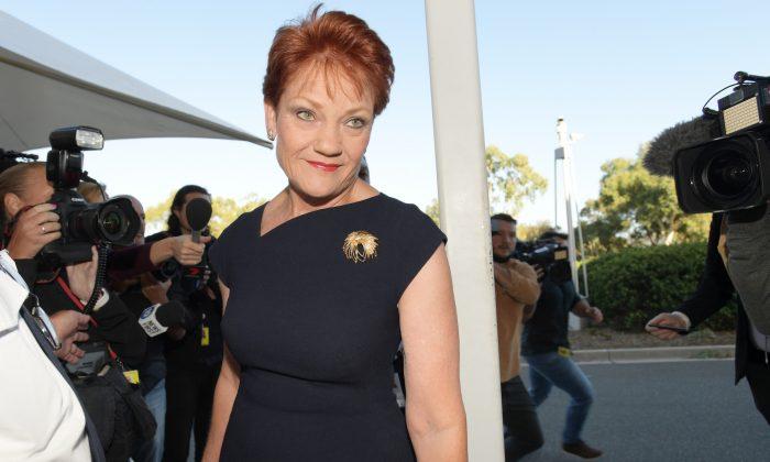 Pauline Hanson Says Some Parents Falsely Claim Domestic Violence To Sway Family Court