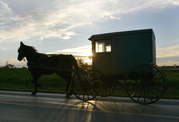 An Amish buggy makes its way down the road in the town of Nickel Mines, Pennsylvania, on Oct. 5 2006. (Timothy A. Clary/AFP/Getty Images)