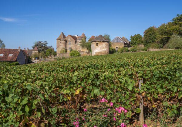 There are nearly 100 castles, medieval strongholds, and manor houses in Burgundy. (Alain Doire/BFC Tourisme)