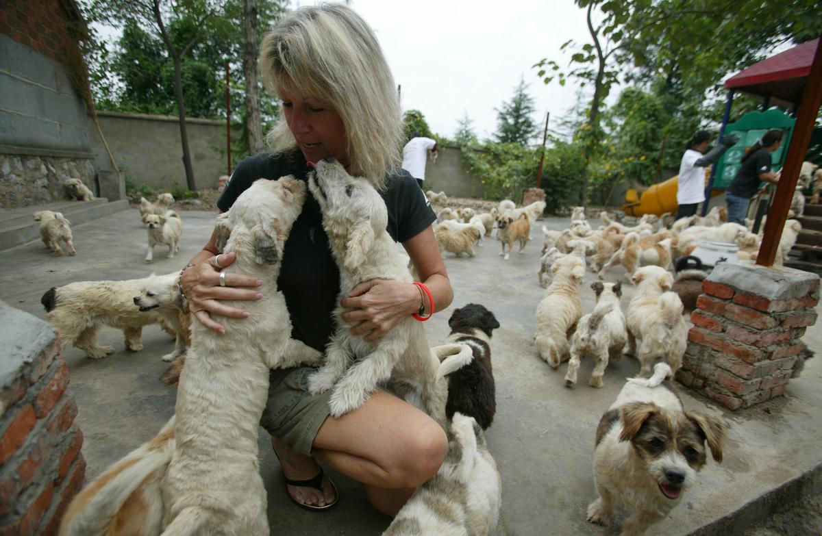 Robinson plays with dogs during her visit to the "Ping An A Fu" Homeless Animals Rescue Center in Nanjing of Jiangsu Province, China, on Sept. 11, 2006. (©Getty Images | <a href="https://www.gettyimages.com.au/detail/news-photo/jill-robinson-founder-of-the-animals-asia-foundation-holds-news-photo/71848614">China Photos</a>)