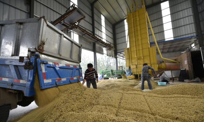 China Gives Waivers to Importers to Buy US Soy Exempt From Tariffs: Sources