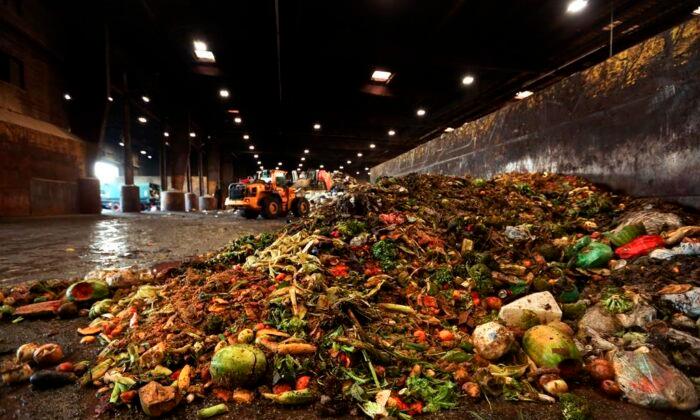 Scientists Audit Garbage to Assess Household Food Waste