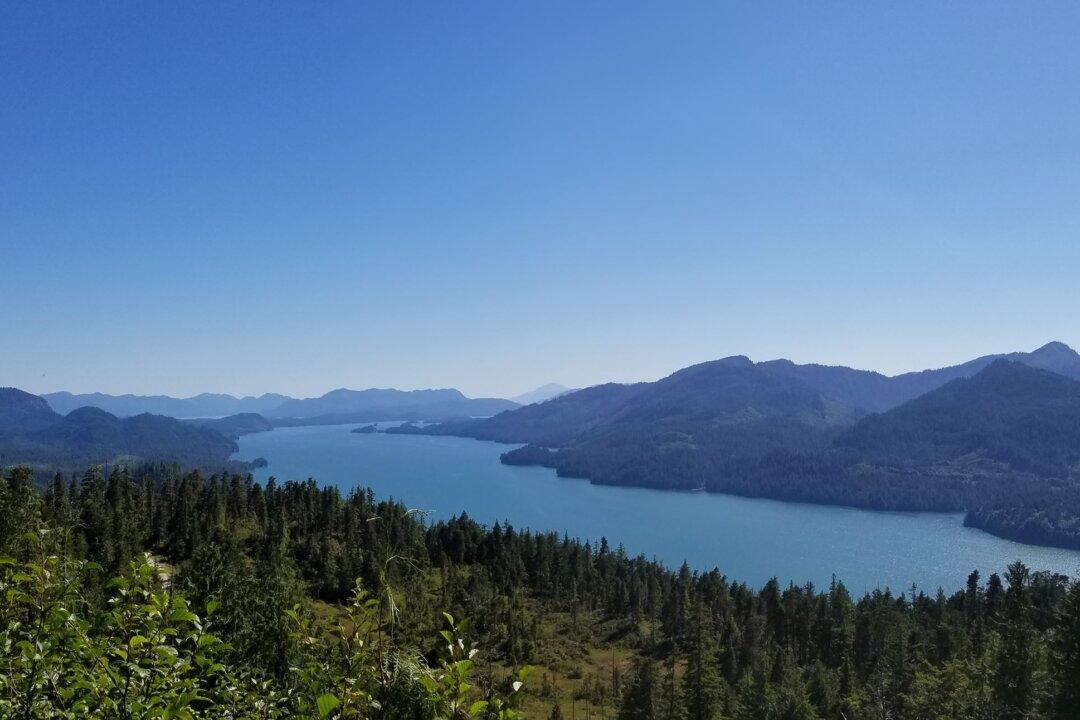 Federal Judge Blocks Logging in Alaska’s Tongass National Forest