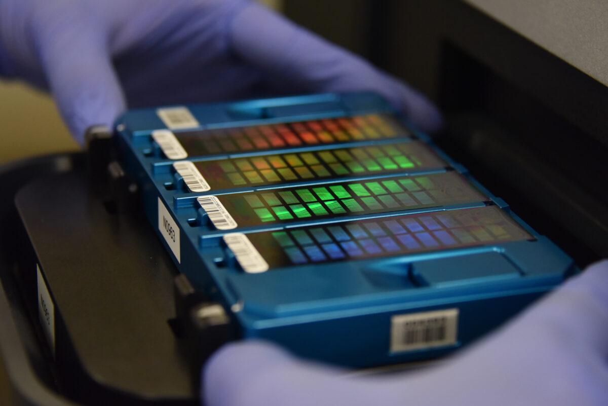 A technician places an array containing DNA information in a scanner at a Chinese genetics lab in Beijing on Aug. 22, 2018. (Greg Baker/AFP/Getty Images)