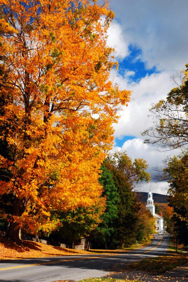 Colorful foliage in Vermont. (Shutterstock)