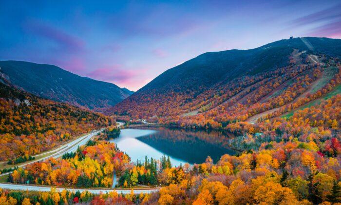 A Beginner’s Guide to Leaf-Peeping