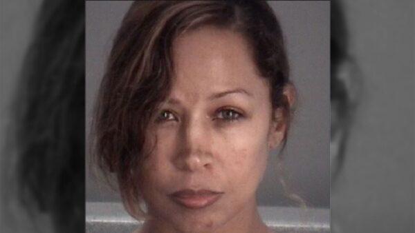 Stacey Dash in a mugshot photo (Pasco County Sheriff's Dept.)