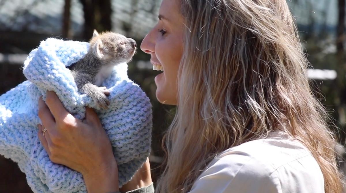 Baby koala Elsa is for now under the care of resident koala-whisperer and Curator of Australian Reptile Park Hayley Shute, who named the joey after the ice queen character in Disney’s “Frozen.” (Australian Reptile Park)