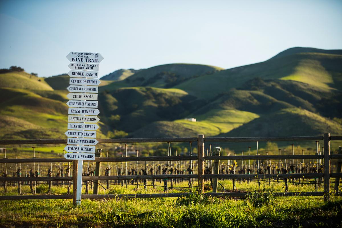 "Slo Cal" is a prime destination for wine tasting. (SLO Wine / Brittney App)