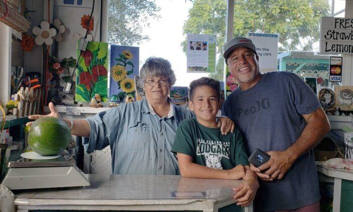 Big Avocado Earns Hawaii Family Guinness World Records Honor
