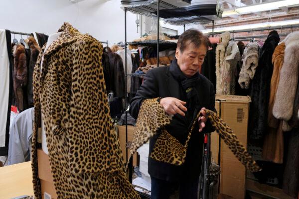Benjamin Lin looks over a 60-year-old cheetah jacket he is restoring at the B.B. Hawk showroom in San Francisco on March 16, 2018. (Eric Risberg/AP Photo)