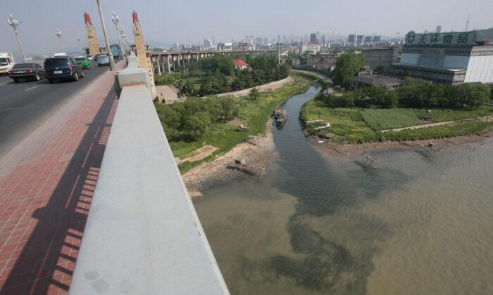 China Considers 10-Year Fishing Ban in Yangtze River Due to Overfishing
