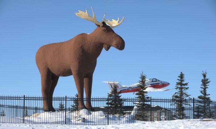 Quebec Town’s Moose Statue Won’t Seek to Supplant Moose Jaw’s Famous Mac