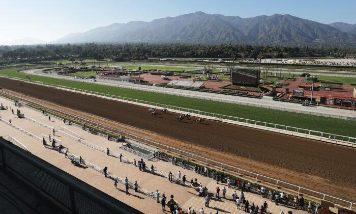 34th Horse Dies at Santa Anita Racetrack Since December
