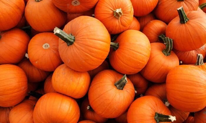 The Incredible Health Benefits of the Humble Pumpkin