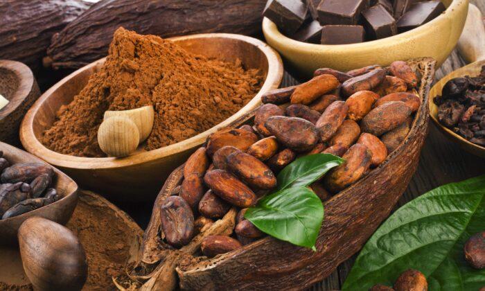 6 Powerful Health Benefits of Cacao