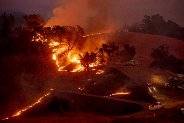 Flames from a backfire, lit by firefighters to slow the spread of the Kincade Fire, burn a hillside in unincorporated Sonoma County, Calif., near Geyservillle on Oct. 26, 2019. (Noah Berger/AP Photo)