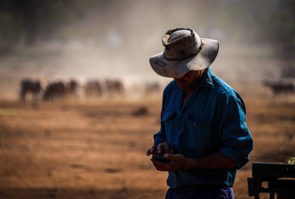 Australian farmer Richard Gillham checks his phone for weather updates after feeding his sheep in a drought-affected paddock on his property in north-western New South Wales, Australia, on Oct. 3, 2019. Gillham is a sixth generation sheep farmer, who has been buying feed at A$1,000 per day for more than two years to keep his stock alive. (David Gray/Stringer/Getty Images)