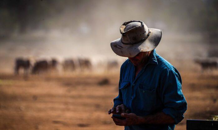 New Tax on Australian Farmers Will Send Food Costs Soaring, Sector Warns