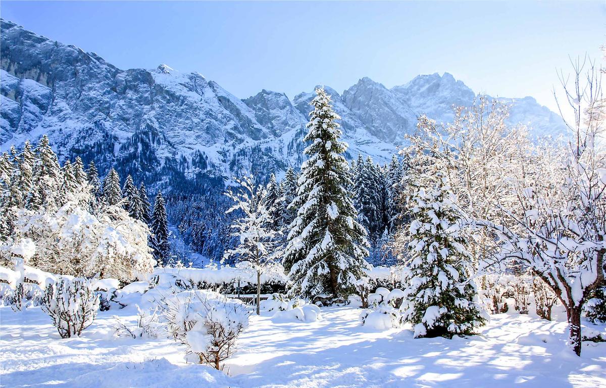Illustration - Shutterstock | <a href="https://www.shutterstock.com/image-photo/winter-snow-mountain-forest-landscape-covered-1200957325">Dmitry Demkin</a>