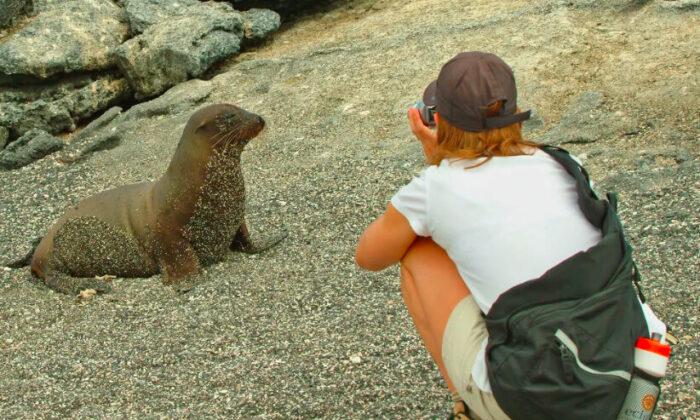 The Galapagos Islands: Like No Other Place in the World