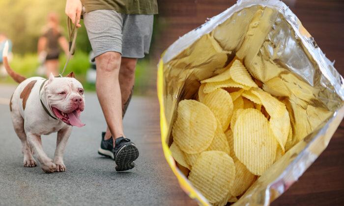 Dog Owners Spread Impassioned Warning After Beloved Pit Bull Dies of Suffocation From Chip Bag
