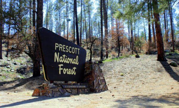 An image of the Prescott National Forest. (Scottb211/<a href="https://creativecommons.org/licenses/by/2.0/">CC BY 2.0</a> via Flickr)