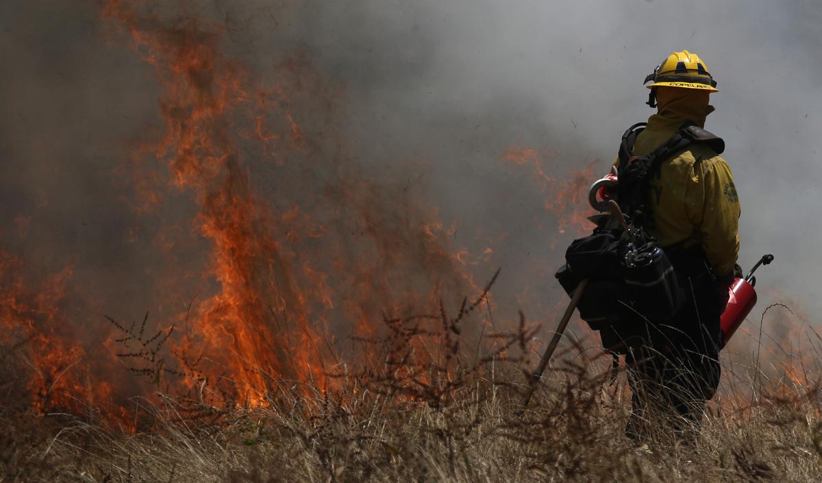 Where Do California’s Wildfires Actually Come From?