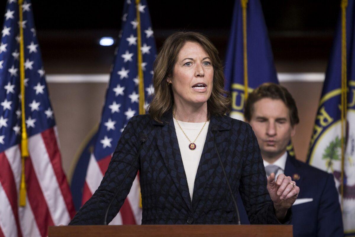 Rep. Cindy Axne (D-Iowa) speaks during news conference discussing the Shutdown to End All Shutdowns (SEAS) Act in Washington on Jan. 29, 2019. (Zach Gibson/Getty Images)