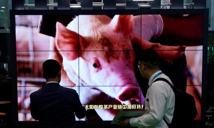 China’s Pork Imports to Peak in 2022, Driven by Fatal African Swine Fever: Report