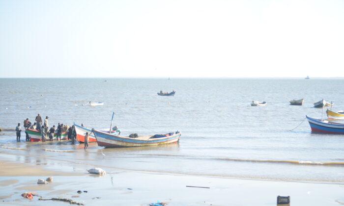 Mozambique’s Fishermen Point to China as Fish Stocks Dwindle