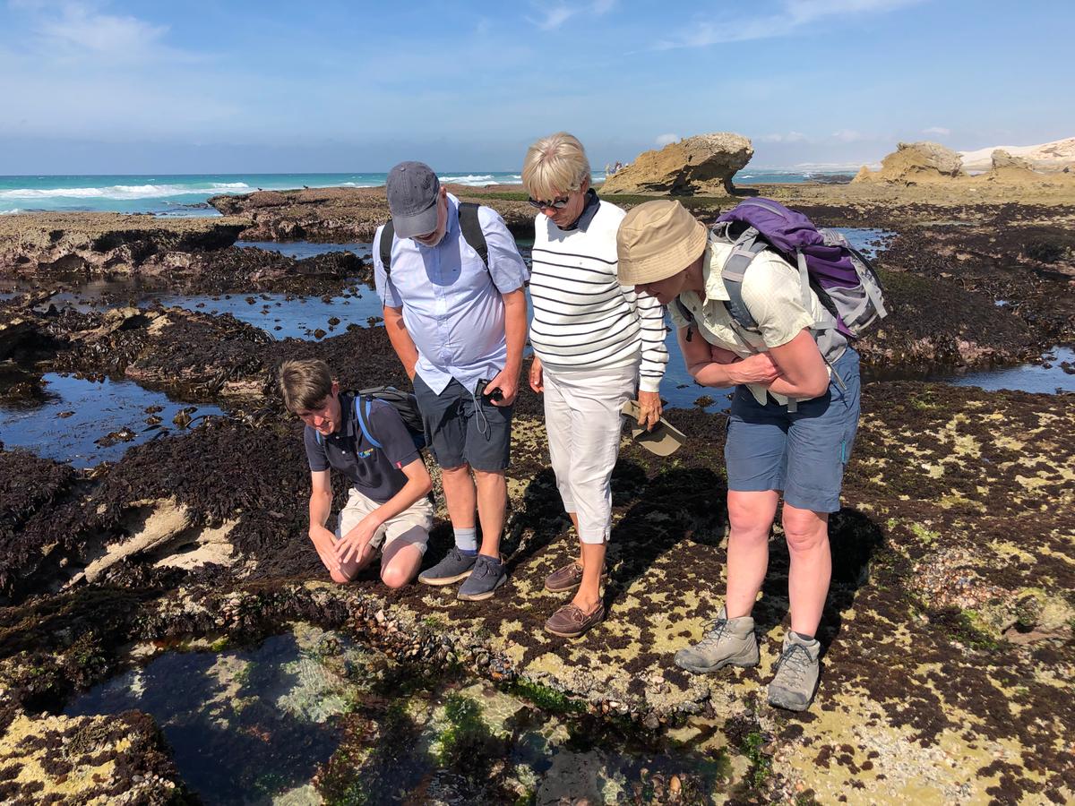 Looking for creatures and crustaceans in tidal pools. (Tim Johnson)