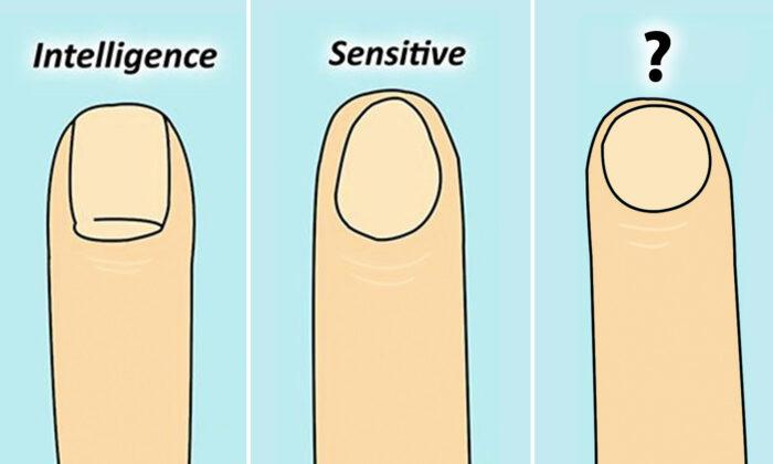Your Nail Shape Reveals Something Interesting About Your Personality. Which One Is Yours?