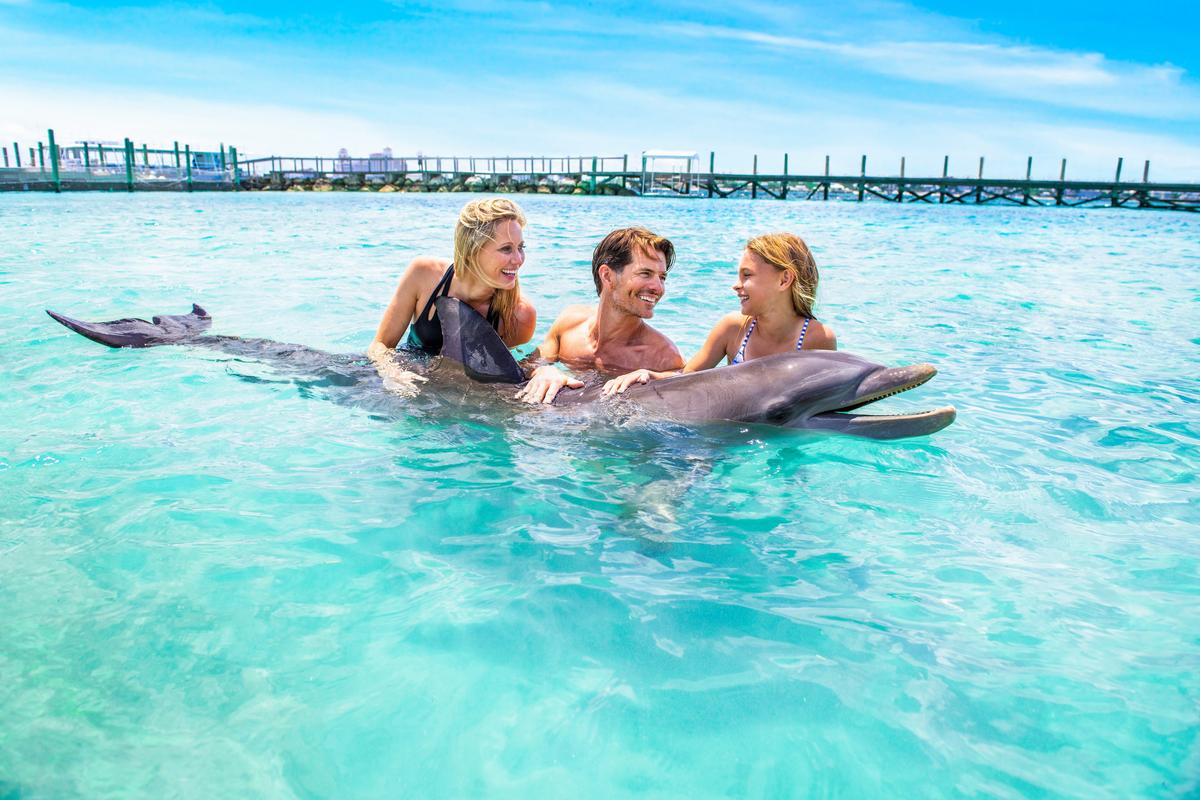 A dolphin encounter. (Courtesy of Nassau Paradise Island)