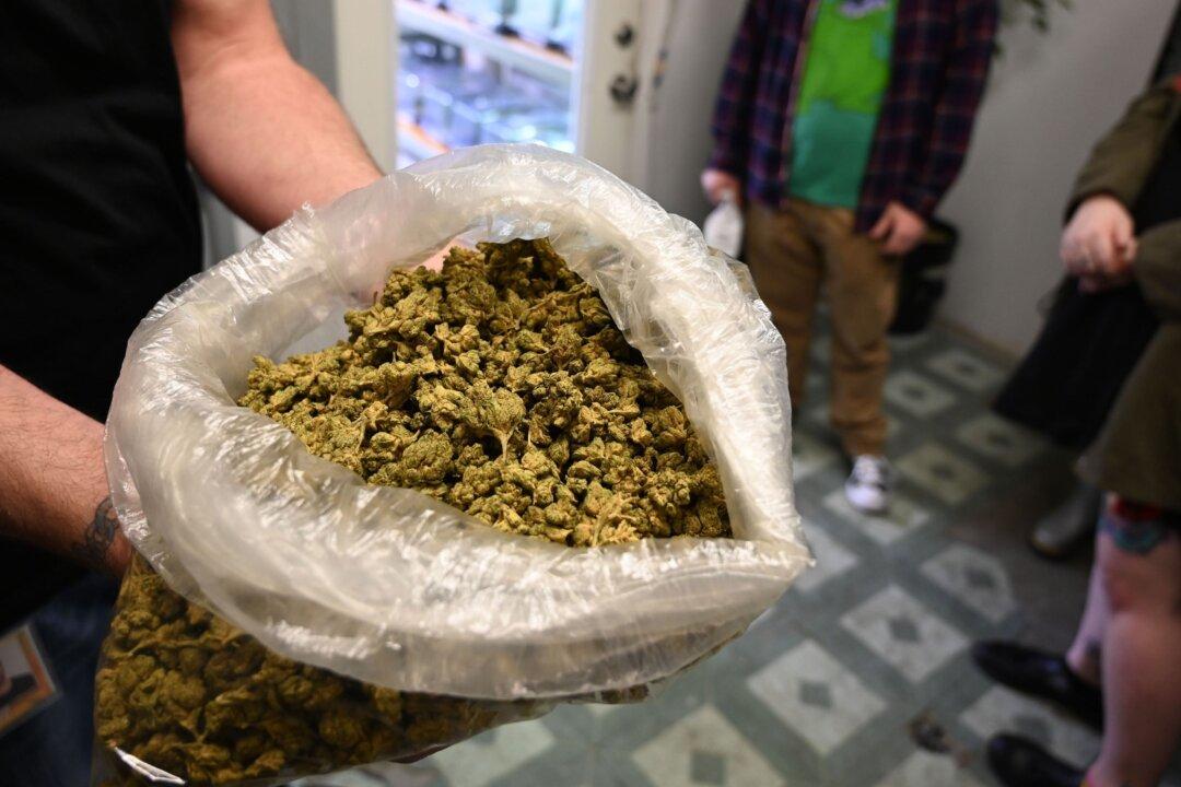 More Than a Million Marijuana Plants Seized, 148 Arrested in Raids in 2019