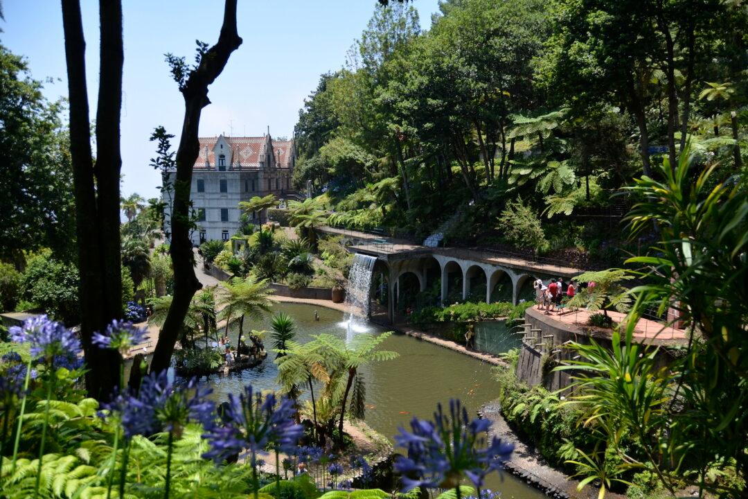 Ups and Downs in Madeira