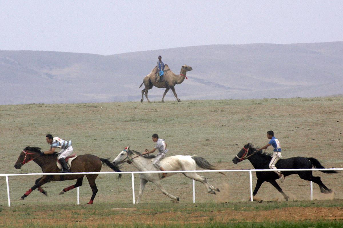 Young Chinese Mongolian horsemen take part in a race during the Naadam festival on the grassland of Gegental Steppe in China's Inner Mongolia region on July 27, 2005. The rural areas of Inner Mongolia are known for their vast grasslands, where grazing is the dominant economic activity. (Goh Chai Hin/AFP via Getty Images)