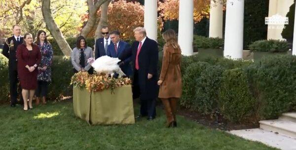 President Trump pardoned Butter, the turkey, on Nov. 26, 2019, at the White House (White House)