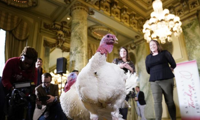 White House Reveals Names Of Turkeys To Be Pardoned By Trump This Thanksgiving