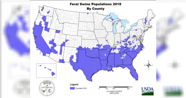 Feral swine populations by county as identified in 2018. (USDA)