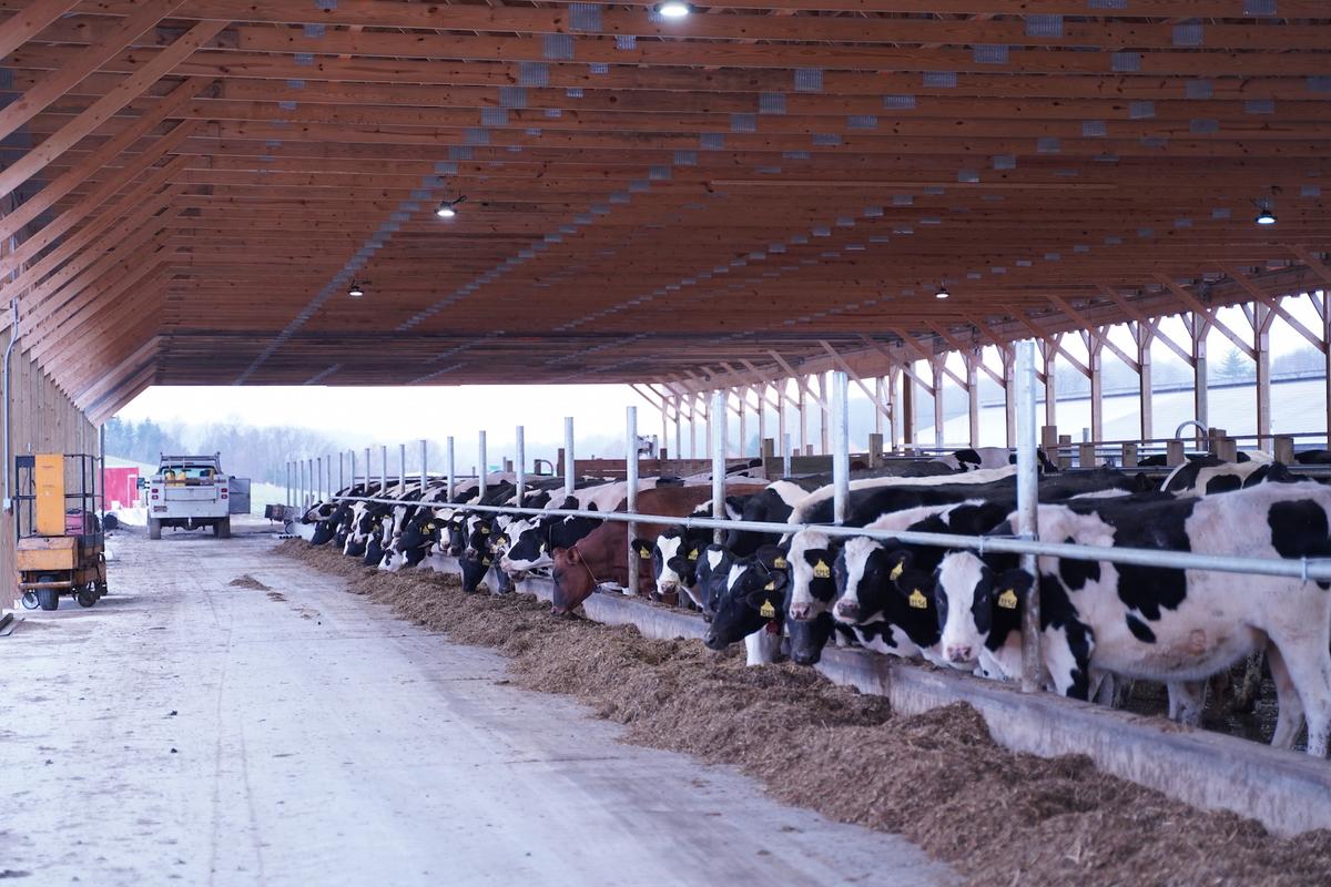 US Dairy Export Council: No Food Supply Shortage